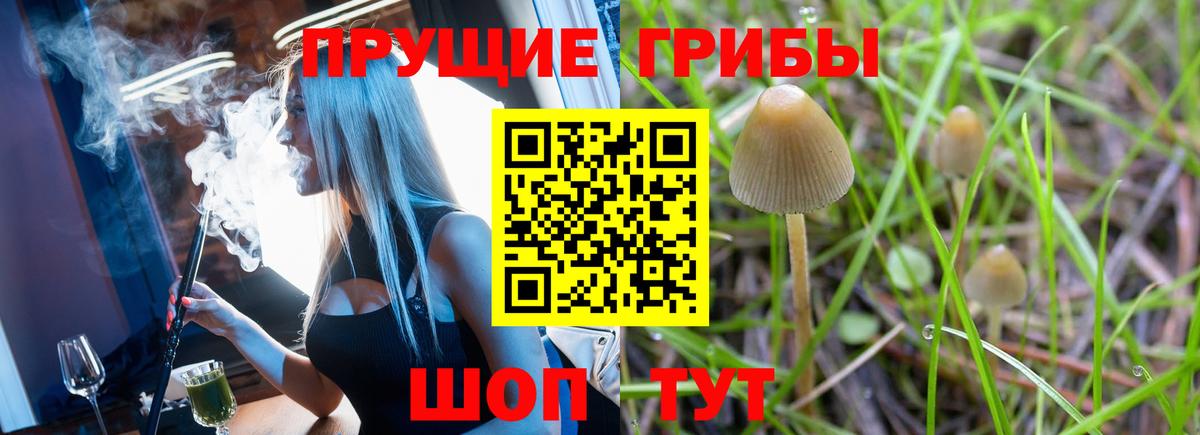 Киров  Галлюциногенные грибы Psilocybe  хочу   Вход с VPN 