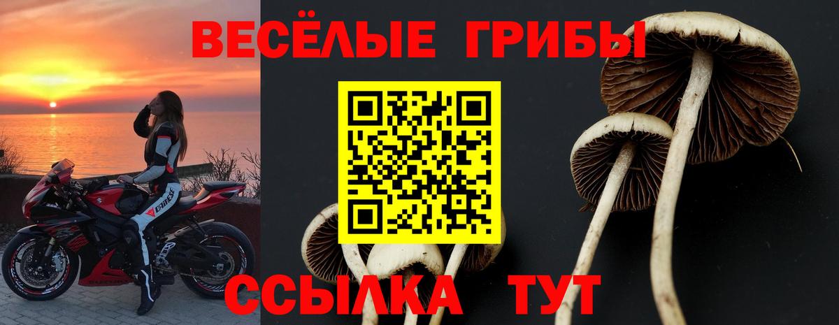 Галлюциногенные грибы мухоморы Киров
